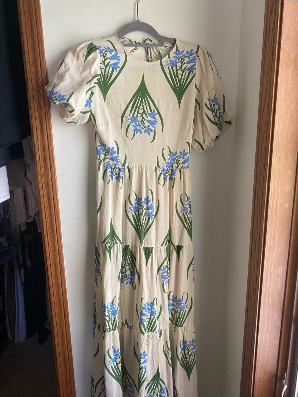 Zara dress